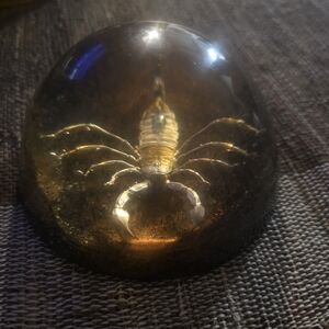 Amber Scorpion Dome Paperweight